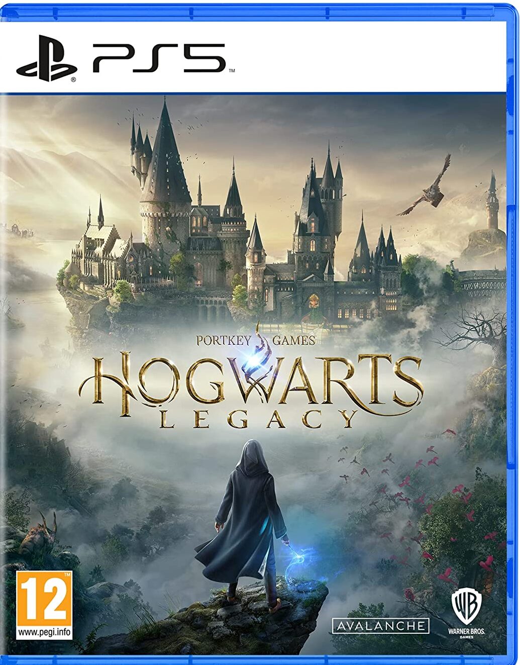 Hogwarts Legacy (PS5)